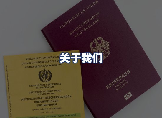 关于我们